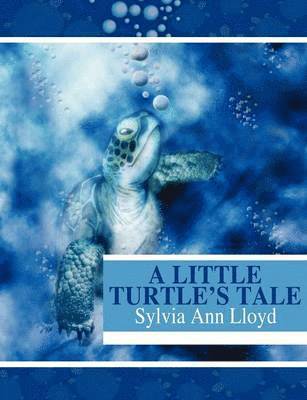 A Little Turtle's Tale 1