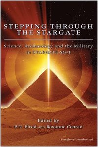 bokomslag Stepping Through The Stargate