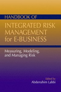 bokomslag Handbook of Integrated Risk Management for E-Business