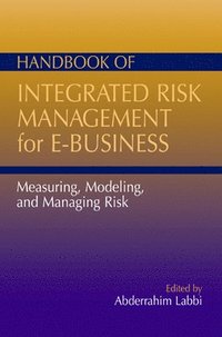 bokomslag Handbook of Integrated Risk Management for E-Business