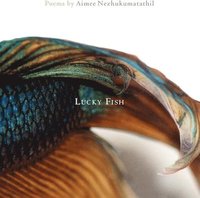 bokomslag Lucky Fish