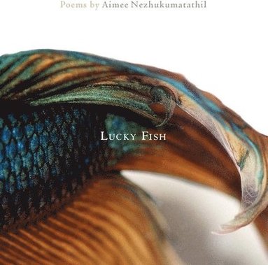 Aimee Nezhukumatathil - Lucky Fish, Häftad