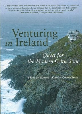 bokomslag Venturing in Ireland