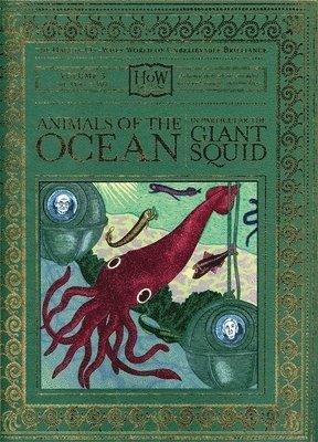 Animals of the Ocean