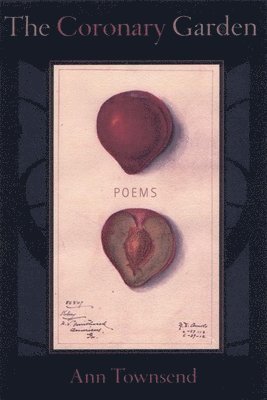 Ann Townsend - Coronary Garden, Häftad