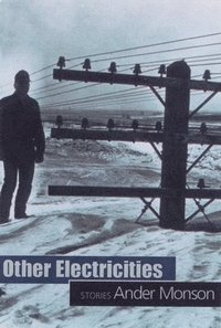 bokomslag Other Electricities