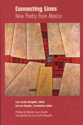 Luis Cortes Bargallo - Connecting Lines, Häftad