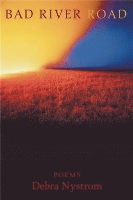 Debra Nystrom - Bad River Road, Häftad