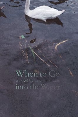 Lawrence Sutin - When to Go into the Water, Häftad