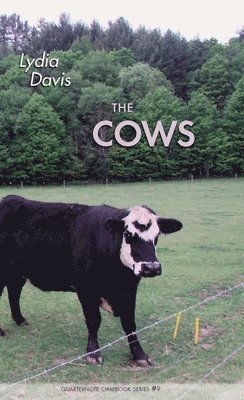 The Cows 1