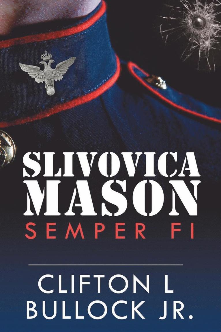 Slivovica Mason 1