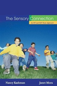 bokomslag The Sensory Connection