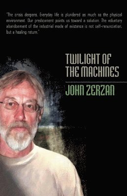 Twilight of the Machines 1