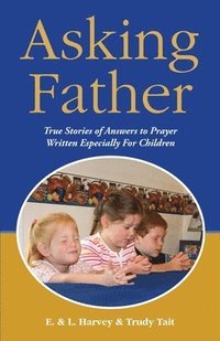 bokomslag Asking Father