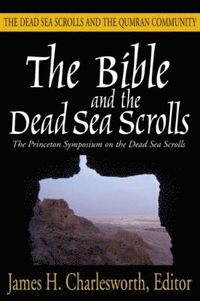 bokomslag Bible and the Dead Sea Scrolls