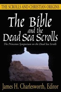 bokomslag Bible and the Dead Sea Scrolls