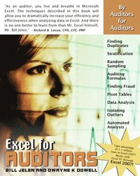 bokomslag Excel for Auditors