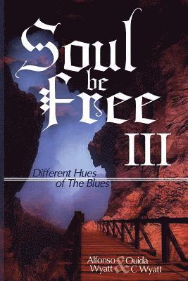 bokomslag Soul Be Free III: Different Hues of The Blues