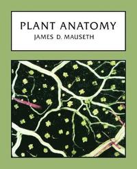 bokomslag Plant Anatomy