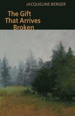 bokomslag Gift That Arrives Broken
