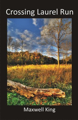 Crossing Laurel Run 1