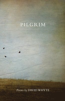David Whyte - Pilgrim (Revised) (Revised), Häftad