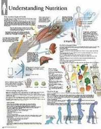 bokomslag Understanding Nutrition Chart