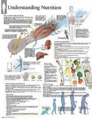 bokomslag Understanding Nutrition Chart