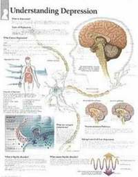 bokomslag Understanding Depression Chart