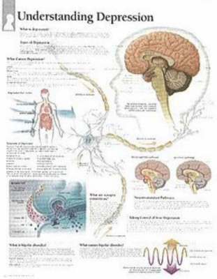 bokomslag Understanding Depression Chart