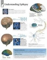 bokomslag Understanding Epilepsy