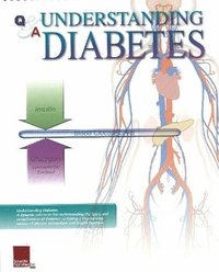 bokomslag Understanding Diabetes Flip Chart