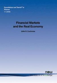 bokomslag Financial Markets and the Real Economy