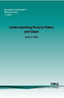 Understanding Poverty Rates and Gaps