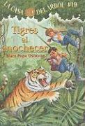 bokomslag Tigres al Anochecer