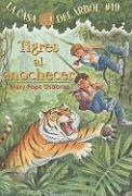 bokomslag Tigres al Anochecer = Tigers at Twilight