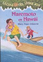 Maremoto En Hawi 1