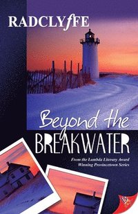 bokomslag Beyond the Breakwater