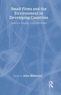 bokomslag Small Firms and the Environment in Developing Countries