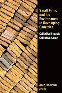 bokomslag Small Firms and the Environment in Developing Countries