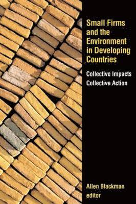 bokomslag Small Firms and the Environment in Developing Countries