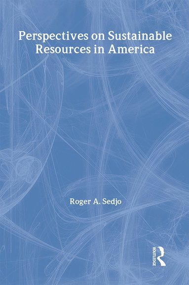 bokomslag Perspectives on Sustainable Resources in America