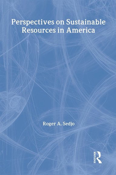 bokomslag Perspectives on Sustainable Resources in America