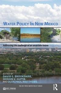 bokomslag Water Policy in New Mexico