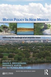 bokomslag Water Policy in New Mexico