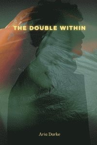 bokomslag Double Within
