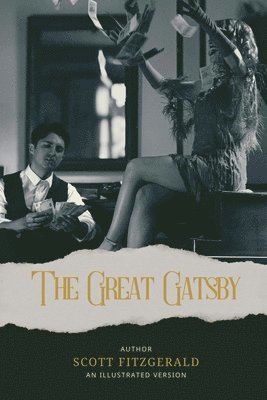 bokomslag The Great Gatsby (Illustrated)