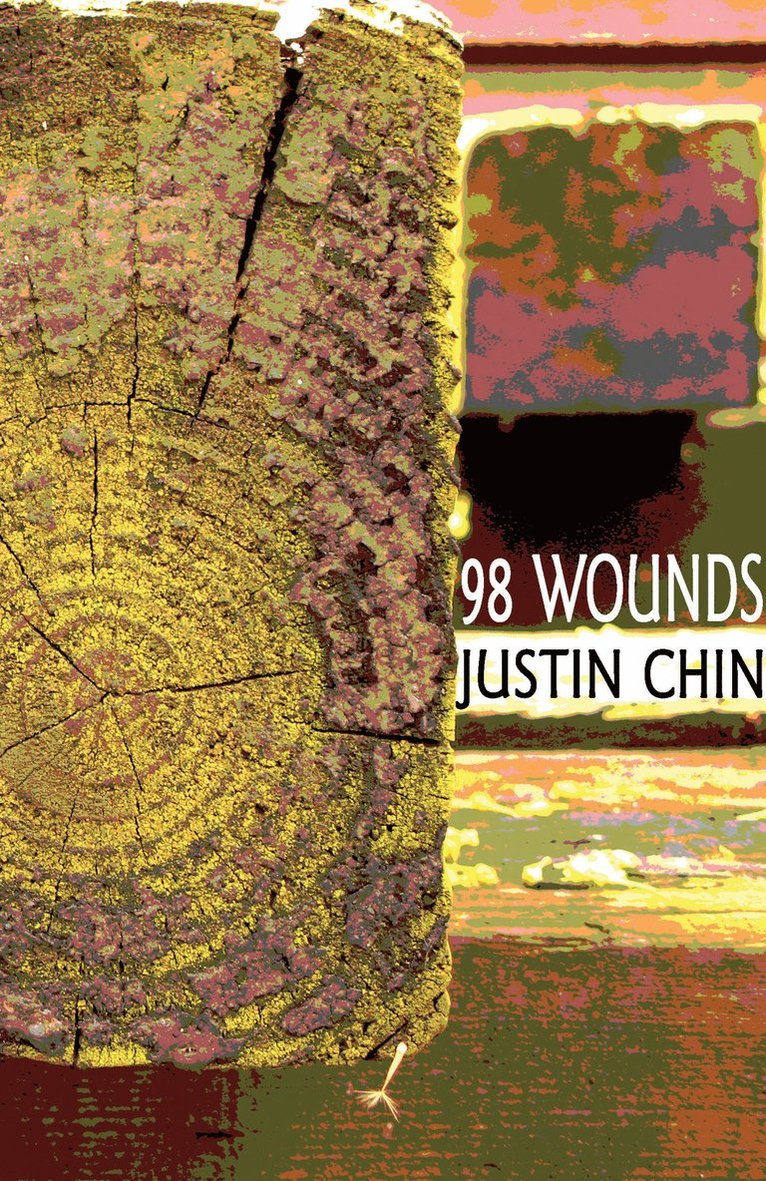 Justin Chin - 98 Wounds, Häftad
