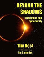 bokomslag Beyond The Shadows: Divergence and Opportunity