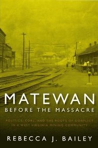 bokomslag Matewan Before the Massacre